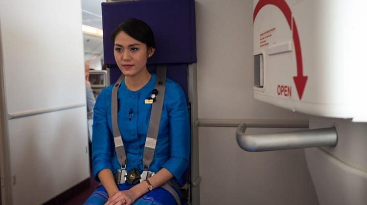Flight Attendants