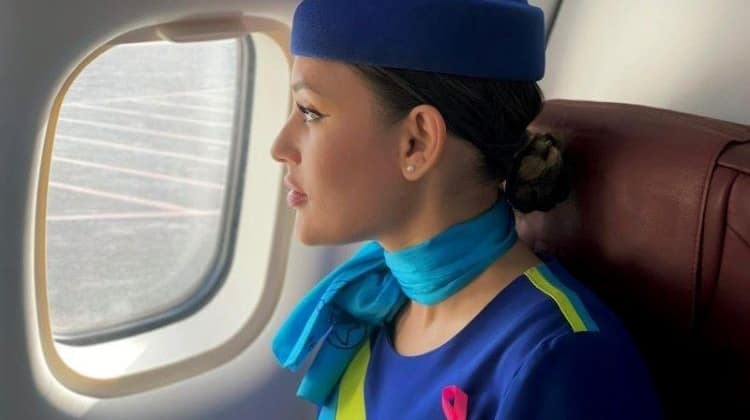 Airplane Windows